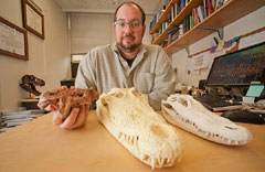 Casey Holliday holds a skull fragment believed to be 95 million years old belonging to a Aegisuchus Witmeri