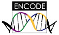 ENCODE-logo