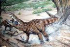 Sahitisuchus fluminensis