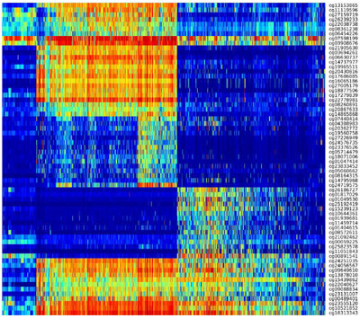 DNA methylation