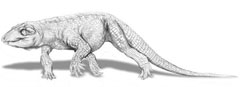 Caipirasuchus