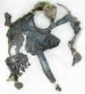 The skull of Tiarajudens eccentricus