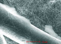 fapesp-nanofiltro
