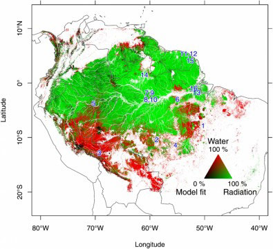 O aumento da radiação solar é o fator determinante para o verdejamento da floresta