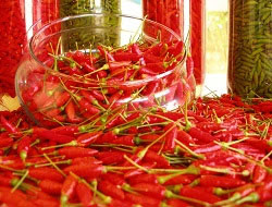 peperoncino