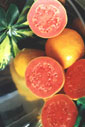 Genética e Melhoramento de Fruteiras Tropicais