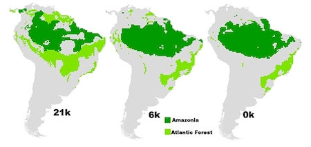 Amazonia e Mata Atlantica