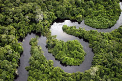 amazonia river