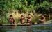 Amazzonia amazzonia