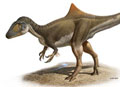carcharodontosauro