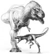Raptorex kriegsteini