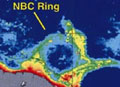 NBC Ring